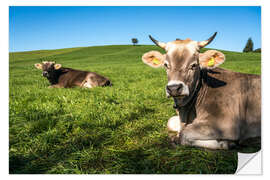 Naklejka na ścianę Cows in the Allgäu