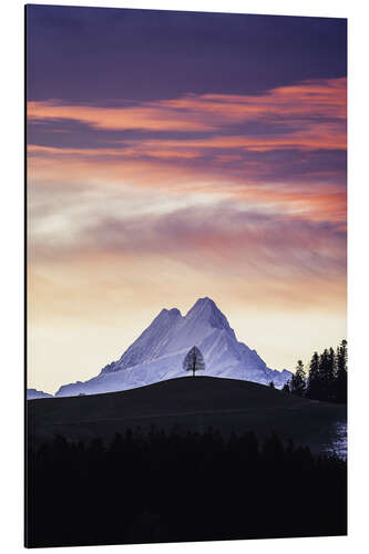 Aluminiumtavla Lonely tree in front of Schreckhorn, Switzerland