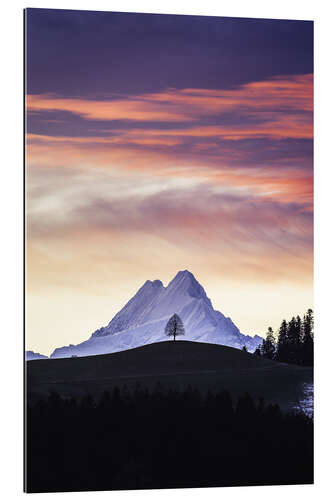 Gallery Print Einsamer Baum vor Schreckhorn, Schweiz