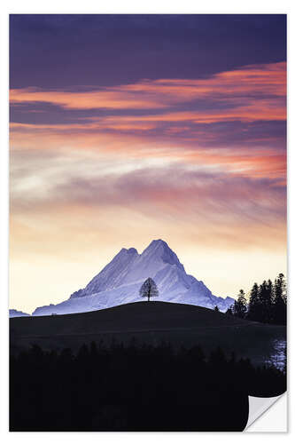 Vinilo para la pared Árbol solitario delante de Schreckhorn, Suiza