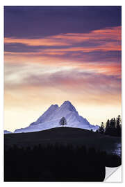 Sisustustarra Lonely tree in front of Schreckhorn, Switzerland