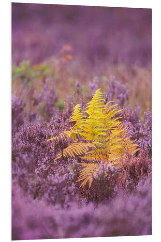 PVC print Fern in the heather