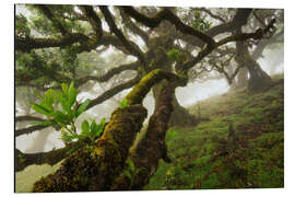 Magnettafel In die Bäume