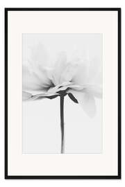 Gerahmter Kunstdruck Japandi Coco