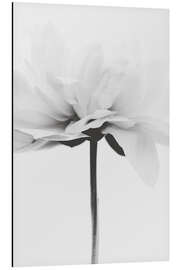 Magnettafel Japandi Coco