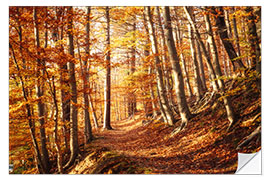 Selvklebende plakat Picturesque autumn forest