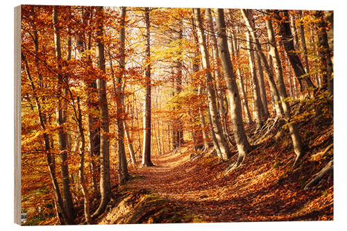 Holzbild Malerischer Herbst Wald