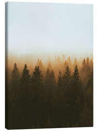 Canvas print Golden treetops