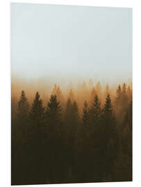 Foam board print Golden treetops