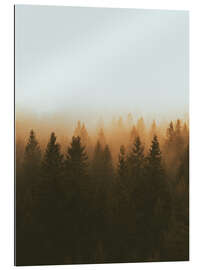 Gallery print Golden treetops