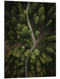 Magnettafel Pfad durch den Wald