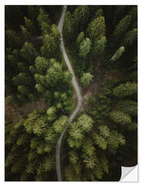 Selvklebende plakat Path through the forest