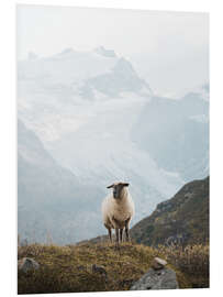 Foam board print Sheep in the Swiss Alps