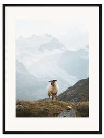 Gerahmter Kunstdruck Schaf in den Schweizer Alpen