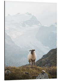 Magnettafel Schaf in den Schweizer Alpen