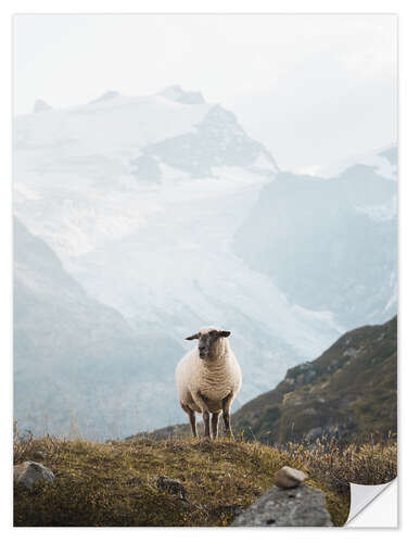 Sticker mural Moutons dans les Alpes suisses