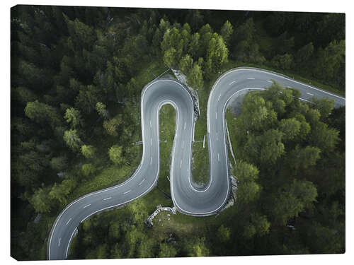 Canvas print Curvy road in the forest