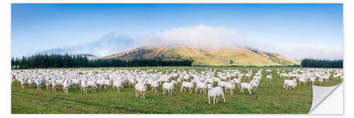 Wall sticker Flock of sheep