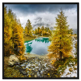 Gerahmter Kunstdruck Indian Summer im Wallis, Schweiz