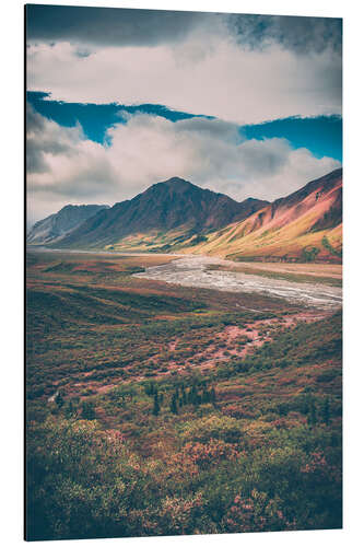 Aluminium print Denali National Park, Alaska