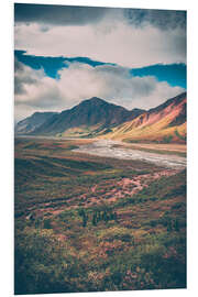 Foam board print Denali National Park, Alaska