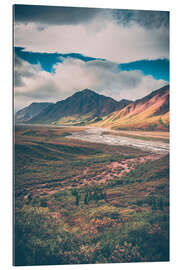 Gallery print Denali National Park, Alaska