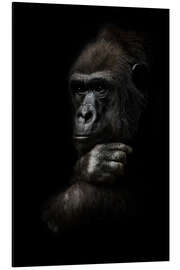 Aluminium print Pensive gorilla monkey thinking