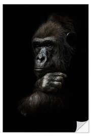 Vinilo para la pared Pensive gorilla monkey thinking