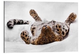 Magnettafel Amurleopard relaxt im Schnee