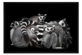 Gerahmter Kunstdruck Kuschelnde Kattas