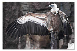 Selvklæbende plakat Vulture the hitchhiker