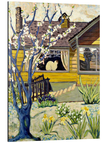 Quadro em alumínio Yellow House With Cat