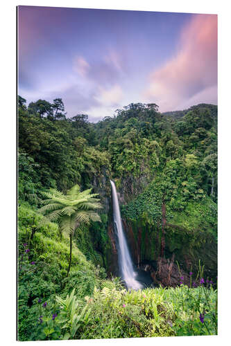 Gallery Print Wasserfall in Costa Rica