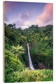 Wood print Waterfall in Costa Rica