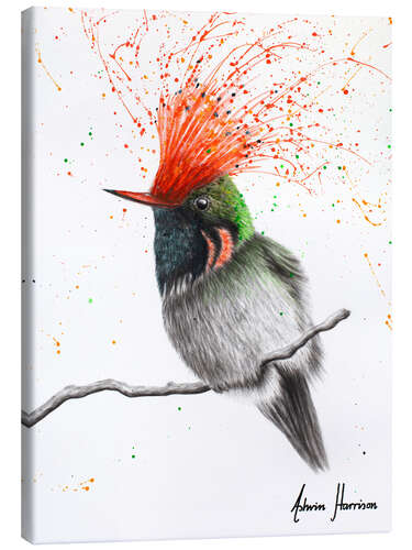 Canvas print Rufous Crested Coquette