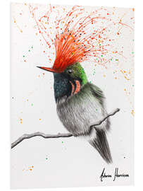 Foam board print Rufous Crested Coquette