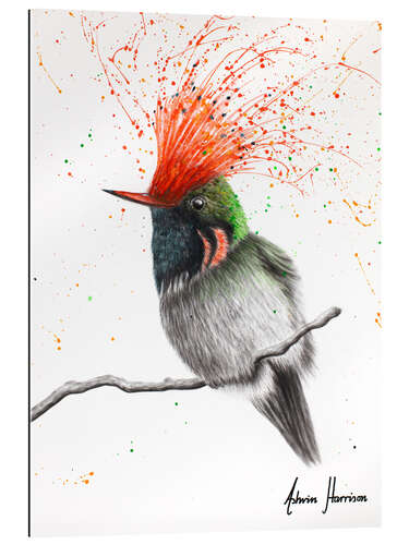 Gallery print Rufous Crested Coquette