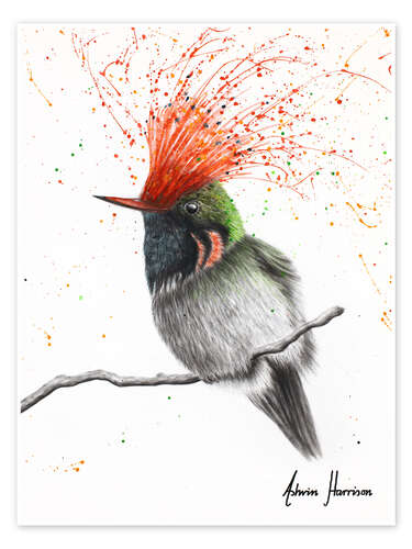 Póster Rufous Crested Coquette