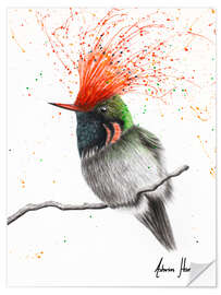 Sisustustarra Rufous Crested Coquette