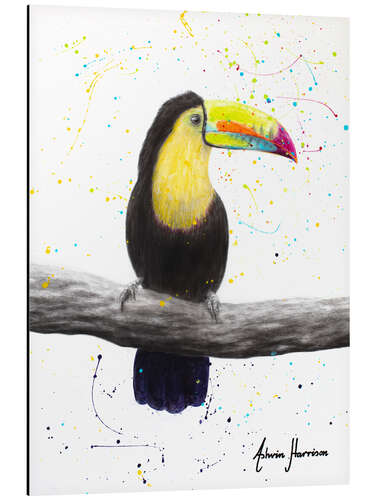 Aluminium print Talented Toucan