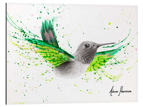 Aluminium print River City Hummingbird