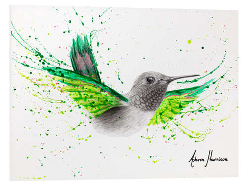 Foam board print River City Hummingbird