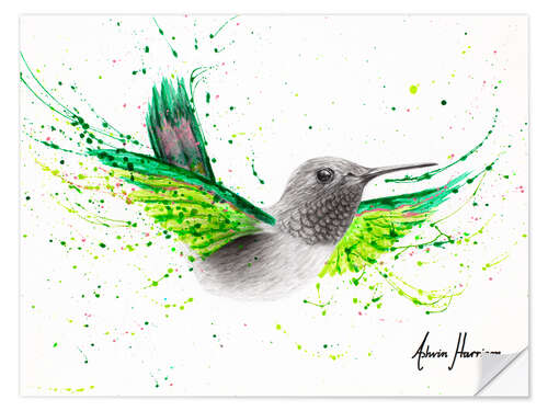 Wall sticker River City Hummingbird