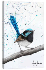 Canvas print Whistling Wren