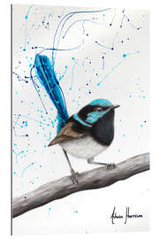 Gallery print Whistling Wren