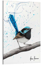 Magnettafel Pfeifender Zaunkönig