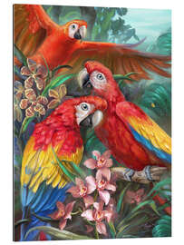 Tableau en plexi-alu Oiseaux tropicaux