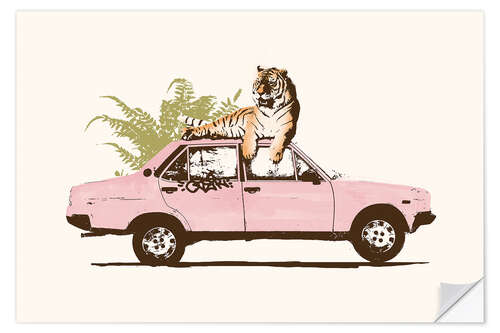 Naklejka na ścianę Tiger on Car