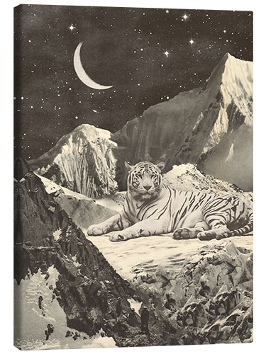 Canvas print Tiger in the mountains