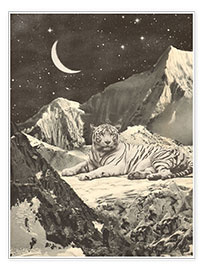 Print  Tiger in the mountains - Florent Bodart